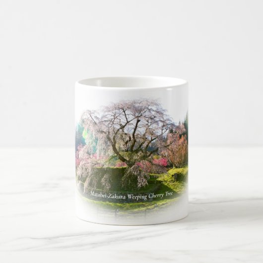 Matabei-Zakura Weeping Cherry Tree コーヒーマグカップ (中央)