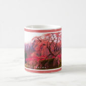 Matabei-Zakura Weeping Cherry Tree コーヒーマグカップ (中央)