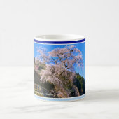 Matabei-Zakura Weeping Cherry Tree コーヒーマグカップ (中央)