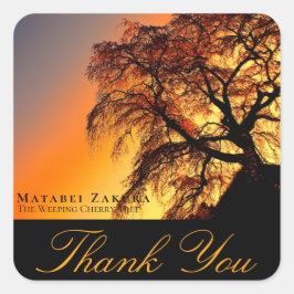 Matabei-Zakura: Weeping Cherry Tree スクエアシール