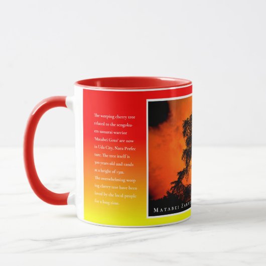 Matabei-Zakura Weeping Cherry Tree マグカップ (左)