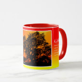 Matabei-Zakura Weeping Cherry Tree マグカップ (正面右)