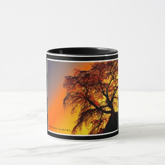 Matabei-Zakura Weeping Cherry Tree マグカップ (中央)