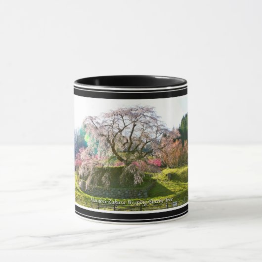 Matabei-Zakura Weeping Cherry Tree マグカップ (中央)