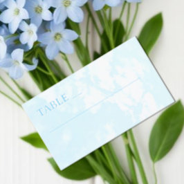 Match Made In Heaven Wedding プレイスカード