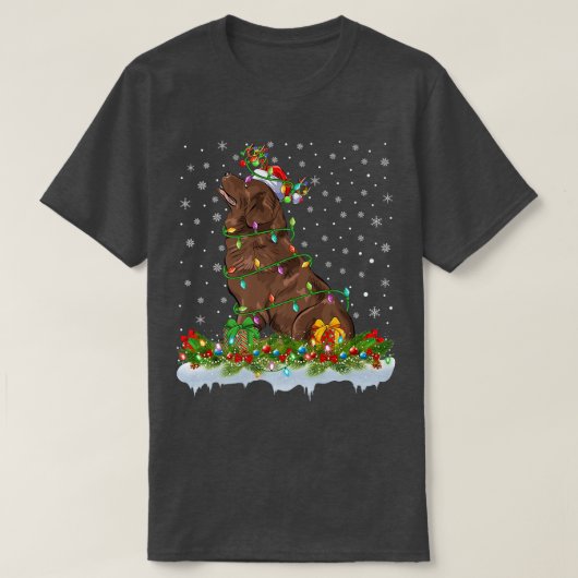 Matching Xmas Lighting Santa Newfoundland Dog Chri Tシャツ (デザイン正面)