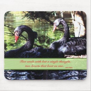 Mates for Life Black Swans with Love引用文 マウスパッド