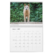 Matildaおよび世界2019のカレンダー カレンダー (3月 2027)