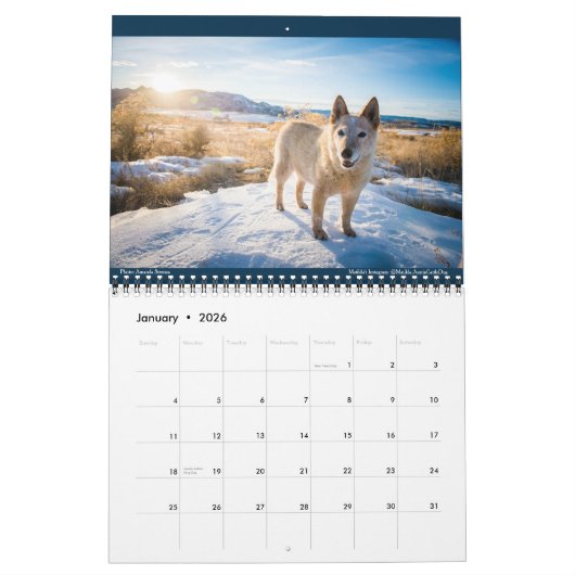 Matilda, Love, and Light 2021 カレンダー (1月 2026)