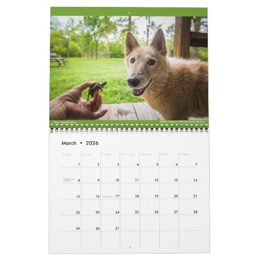 Matilda, Love, and Light 2021 カレンダー (3月 2026)