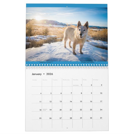 Matilda & Petunia Calendar 2026 カレンダー (1月 2026)