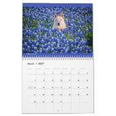 Matilda & Petunia Calendar 2026 カレンダー (3月 2027)