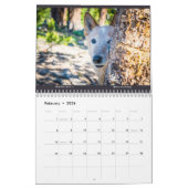 Matilda Stardust and Love 2025カレンダー カレンダー (2月 2026)