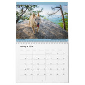 Matilda's Joy 2023カレンダー カレンダー (1月 2026)