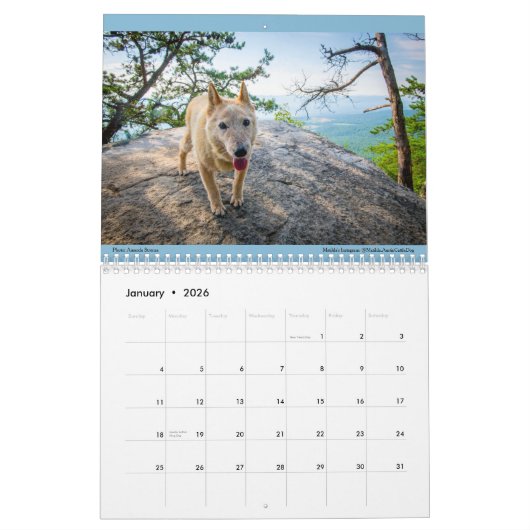 Matilda's Joy 2023カレンダー カレンダー (1月 2026)