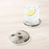 Matisse - Bichon Frise -コースター コースター (側面)