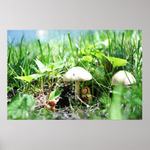 Matroshka in a Mushroom Patch ポスター