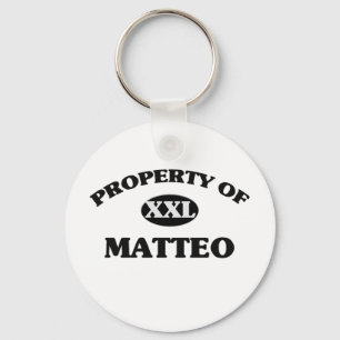 MATTEOの特性 キーホルダー
