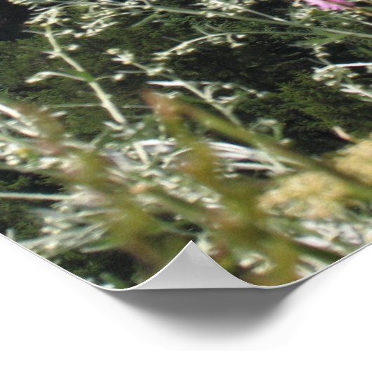 Matterhorn Mountain写真 ポスター (角)