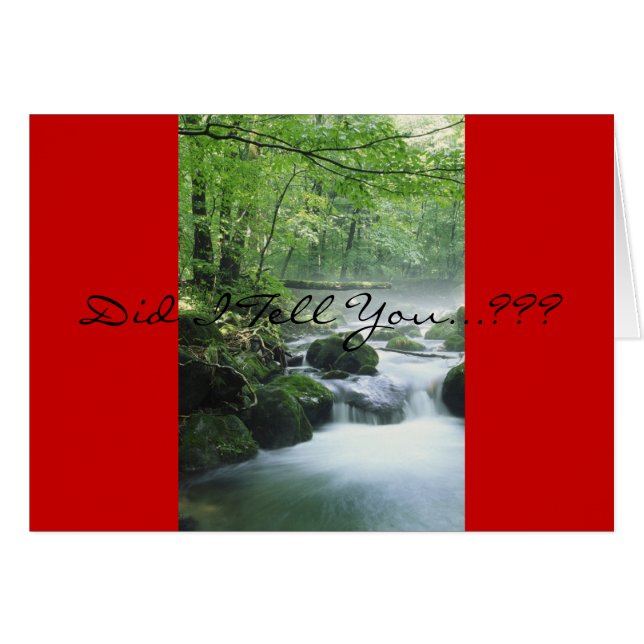 Matthewの19:6 (正面横)