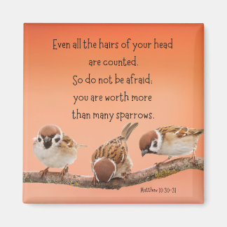 Matthew 10:30-31 2インチ磁石 マグネット