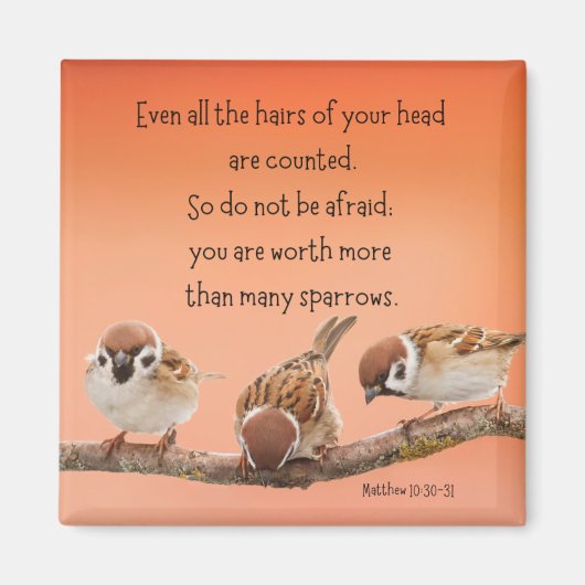 Matthew 10:30-31 2インチ磁石 マグネット (正面)