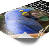 Matthew 6:26とBlue Macaw フォトプリント (角)