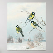 Matti Karppanenによる可愛い小鳥Birds Art ポスター (正面)