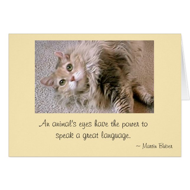 Mattieの目 (正面横)