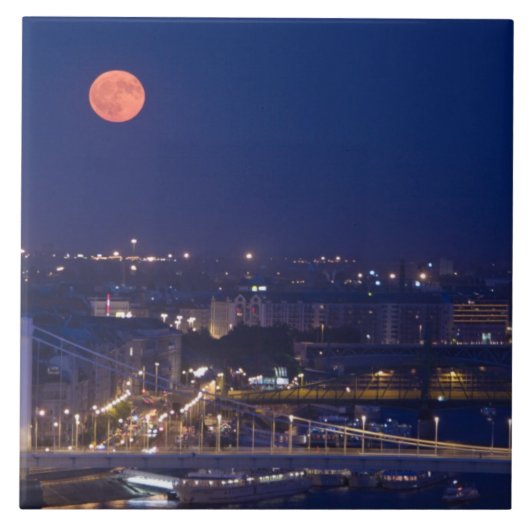 Matyasの隣のFishermens Bastionから表示 タイル (正面)