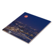 Matyasの隣のFishermens Bastionから表示 タイル (側面)