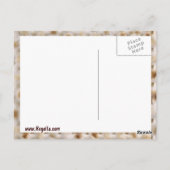 MATZAHポストカード~無解でペサディッチ ポストカード (裏面)