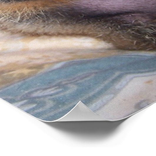 Maude Poster 1 ポスター (角)