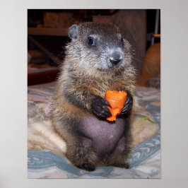 Maude Poster 1 ポスター