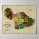 Maui, 1885, Vintage Hawaii Map ポスター (正面)