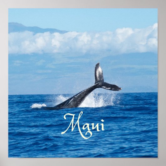 Maui Hawaii Ocean Whale Tail ポスター (正面)