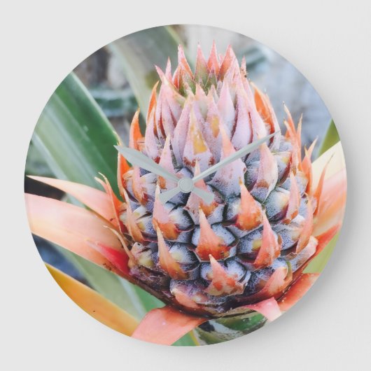 Maui Pineapple Hawaii ラージ壁時計 (正面)