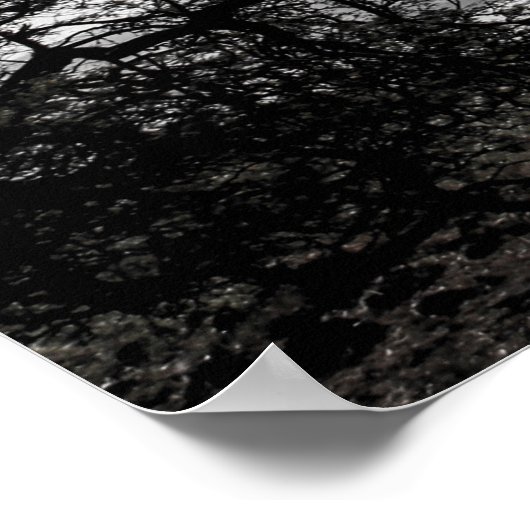 Maui Sky ポスター (角)