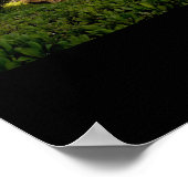 Mauna Kea Resort ポスター (角)