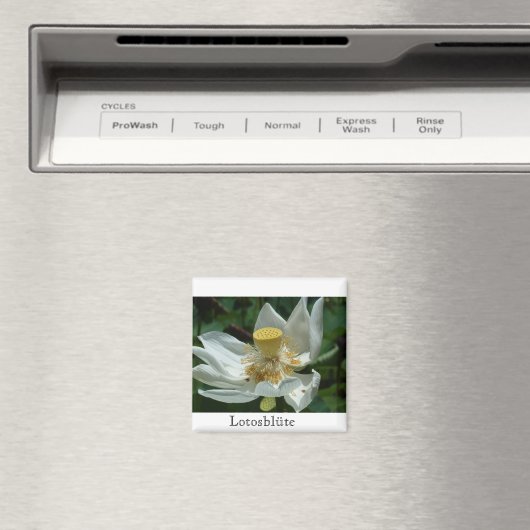 Mauritius, Lotosblüte マグネット (インサイチュ (食洗機))