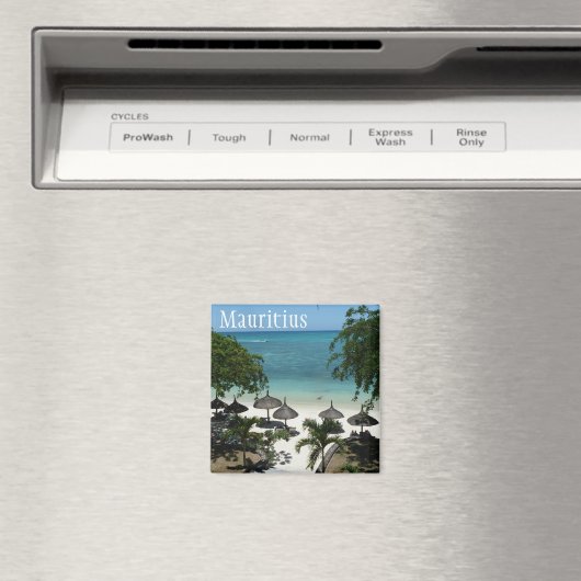 Mauritus マグネット (インサイチュ (食洗機))