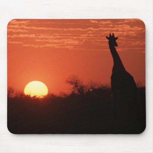 Mauspad Giraffe Sonnenuntergang マウスパッド (正面)