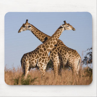 Mauspad Giraffen マウスパッド