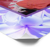 MauveとPink Frangihaniの写真 フォトプリント (角)