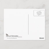 Mauveポストカード上のFireflys ポストカード (裏面)