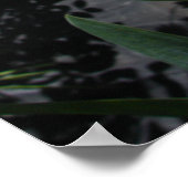 Mauve Pink Irisフローラ花写真ポスター ポスター (角)