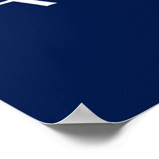 Maverick/Sarahcuda '08 Poster ポスター (角)