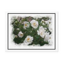 May Flowersはがき