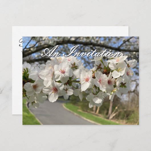 May Flowers Invitation Postcard ポストカード (正面/裏面)