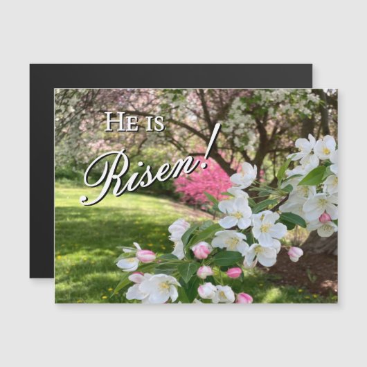 May Flowers Pink Easter Magnet (正面/裏面)